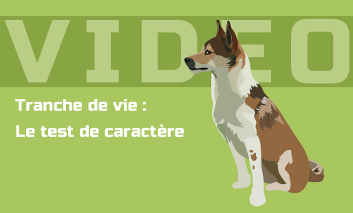 Le test de caractère, c'est un petit "examen" qu'…
